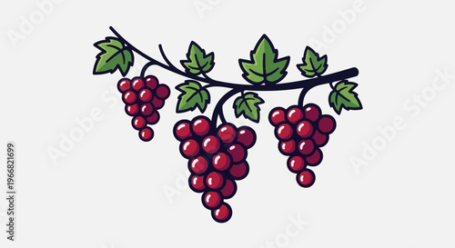 Three clusters of ripe red grapes hang from a dark vine with green leaves
