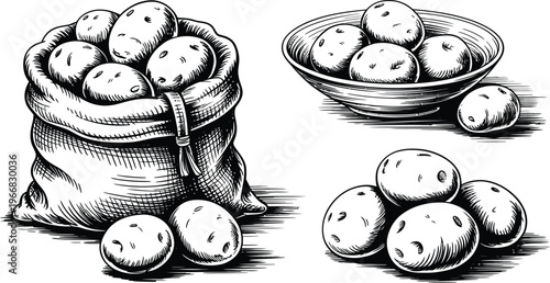 Sack of potatoes and bowl of potatoes in woodcut style
