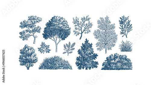 Delicate blue floral pattern composed of abstract leaf-like shapes on light background Vector