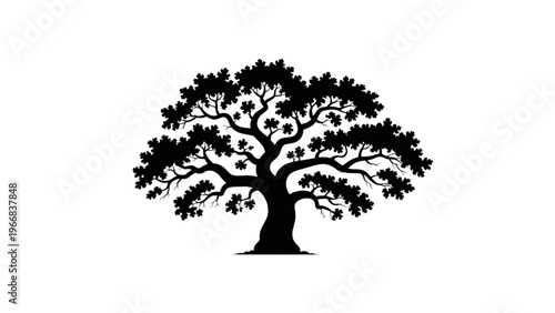 A stylized black and white illustration of a large, spreading tree with intricate branches Vector