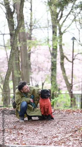 レインコートを着る大型犬と飼い主　雨の中で犬と散歩する男性の癒しと自然を感じる日常シーン　春の散歩シーンカメラ目線の縦動画