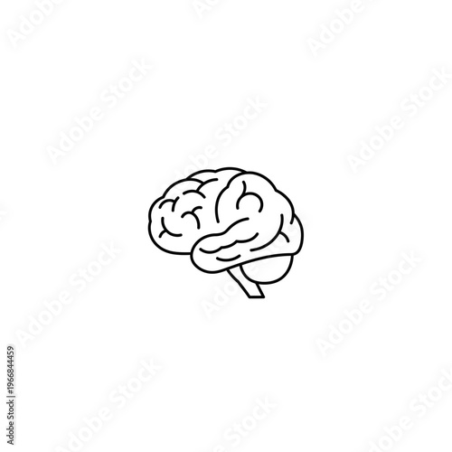 A drawing of a human brain