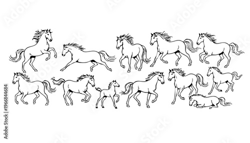 Hand Drawn Horse Sketch Set Doodle Outline Equine Running Standing Jumping Foal Charcoal Line Vector Illustration Isolated on White