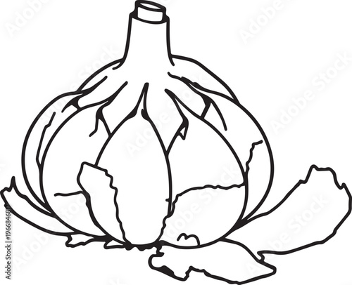 A detailed black and white line drawing of a peeled garlic bulb with its outer layers beginning to separate and curl away from the core, showcasing its distinct segments and texture