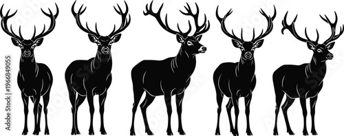 Collection of five black deer silhouettes with impressive antlers on a white background isolated on transparent background