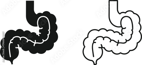 Human digestive system icon, stomach intestines outline, anatomical medical illustration, healthcare symbol, biology organ graphic, minimalist anatomy design element