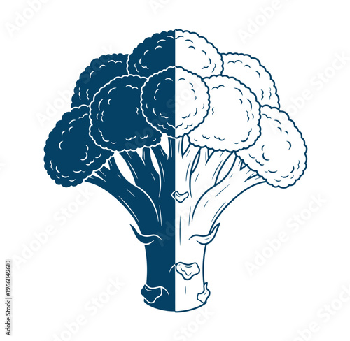 Broccoli flower head with contrasting dark and light blue illustration halves