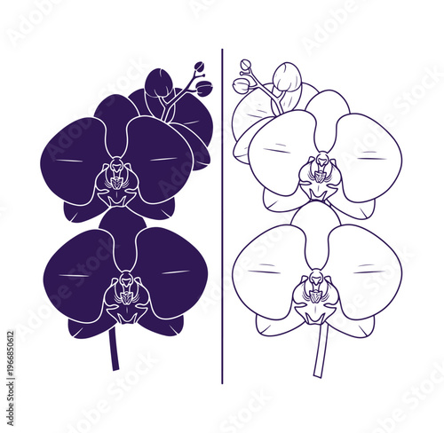 Purple and white orchid flowers in illustration style  decorative floral design elements