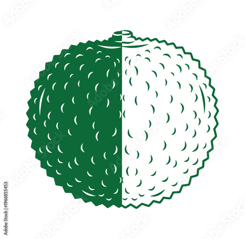 Green and white striped melons with dimpled skin isolated on white background