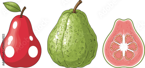 Guava Fruit Vector Illustration Set Featuring Whole Red and Green Guava with Slice Isolated Tropical Food Graphic in Cartoon Style