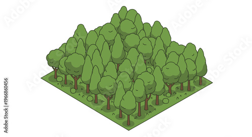 Dense Green Forest Canopy With Tall Trees.