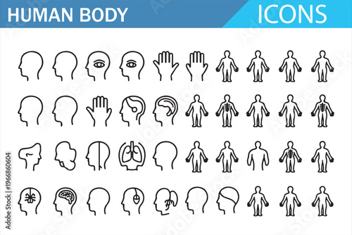 Healthcare and anatomy line icons with organs skeleton and body parts