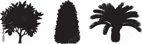 Tree silhouettes, black tree icons, tropical palm trees, forest elements isolated on Transparent Background