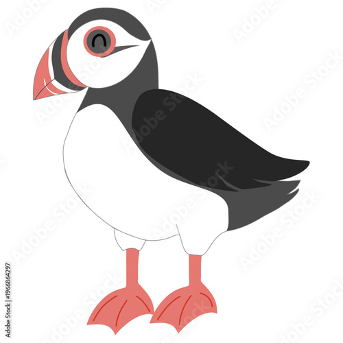 Cute Atlantic Puffin Illustration - Cartoon Sea Bird