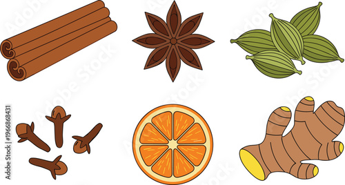 Vector illustration of aromatic spices cinnamon star anise cardamom cloves ginger and orange slice isolated for cooking, tea, holiday flavor ingredients background design