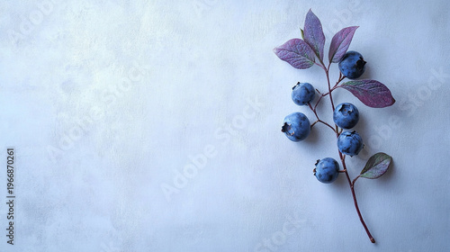bunch of blueberries