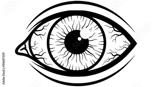 An eye detailed vector illustration in black and white with visible veins