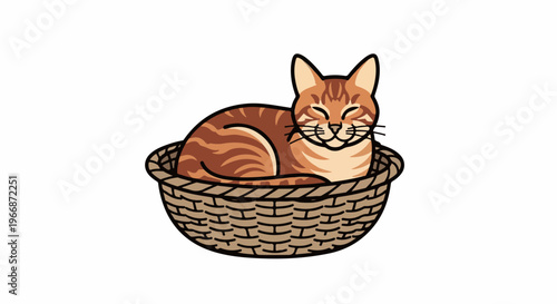 Adorable tabby cat curled up and sleeping peacefully inside a woven basket