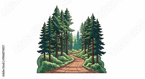 A winding dirt path leads through a dense forest of tall evergreen trees
