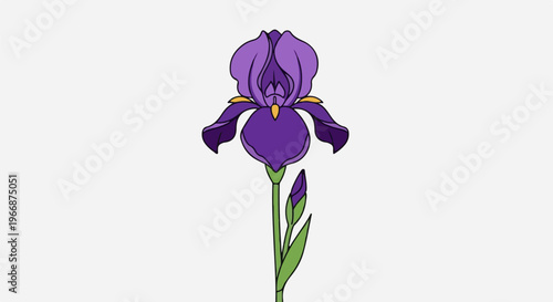 A stylized purple iris with a green stem and bud