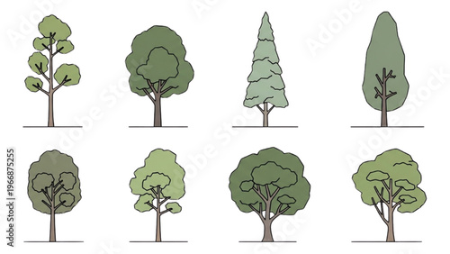 Vector CAD design style illustrations of various trees in a landscape