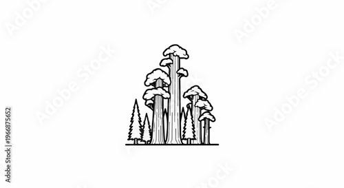 A stylized illustration depicts a grove of towering trees with broad, fluffy canopies