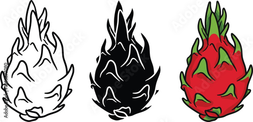 Three depictions of dragon fruit line art silhouette and full color