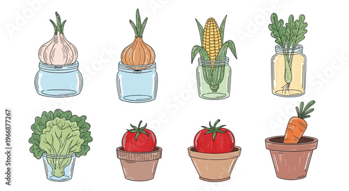 Illustration of various vegetables being regrown in jars and pots, showcasing home gardening and sustainable food practices.