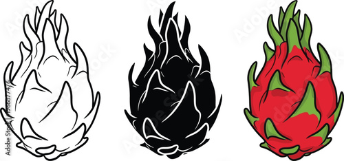 Three depictions of dragon fruit sketch silhouette and realistic color