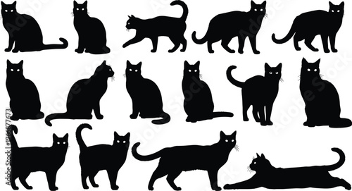 Young couple taking mirror selfie with smartphone, smiling together, close up portrait of happy relationship, lifestyle photography concept