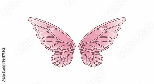 Delicate pink fairy wings with detailed veining, isolated on white