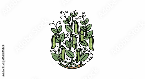 Hand-drawn green pea pods on vines with curled tendrils