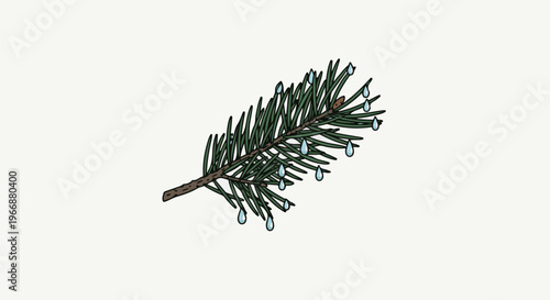 A close-up illustration of a pine branch with raindrops