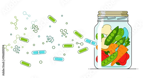 Fermentation Process: Microbes Infusing Vegetables in a Jar for Probiotics