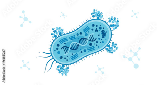 Microscopic bacterium with DNA inside, scientific illustration