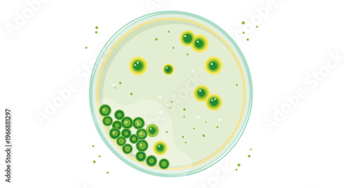 Microscopic green colonies growing in a petri dish, top view illustration