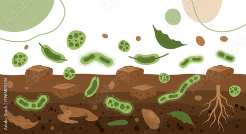 Microscopic Organisms in Soil Layers: Bacteria, Fungi, and Plant Roots