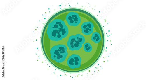 Microscopic view of green algae colonies in petri dish, science and biology concept