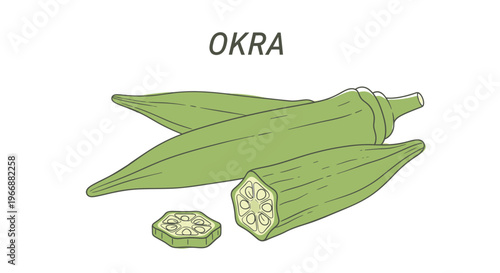 Fresh green okra pods and slices white background with text O K R A vegetable food