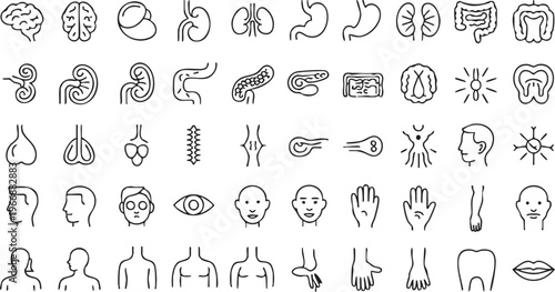 Art & IllustrationAnatomy line icon collection with internal organs for science and biology use
