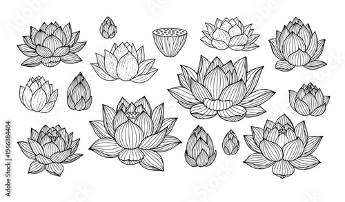 Minimalist lotus flower vector outline set with buds to fully bloomed blossoms for botanical designs