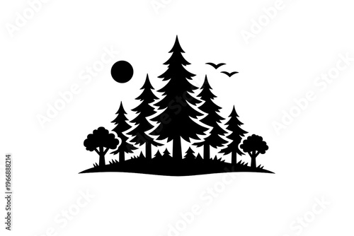 Silhouette of pine trees and birds at sunset