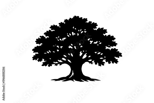 Silhouette of a large oak tree with dense foliage on white background