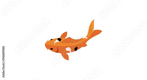 Orange and White Koi Fish Illustration on White Background