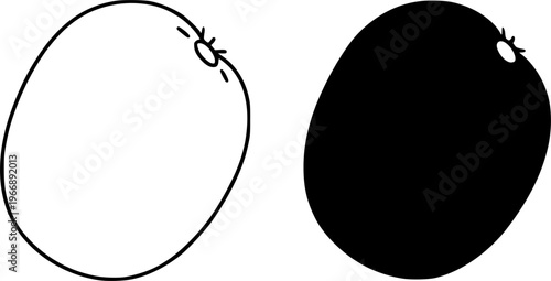 Kiwi fruit vector icon illustration, outline and silhouette, for food or nature design, transparent isolated background