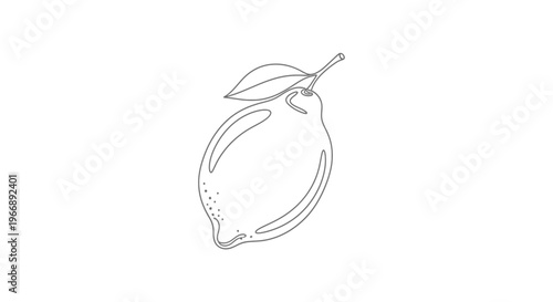 One Line Drawing of a Lemon Fruit with Leaf Minimalist Botanical Vector Illustration