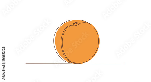 Continuous Line Drawing of a Fresh Apricot Fruit Vector Illustration Design Element