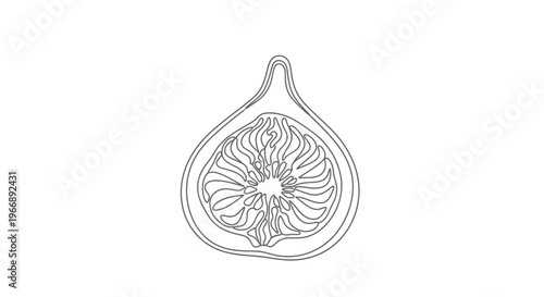Minimalist Fig Fruit Line Art Vector Illustration Design Element for Web and Print