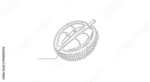 One Line Drawing of Durian Tropical Fruit Minimalist Vector Illustration and Design Element