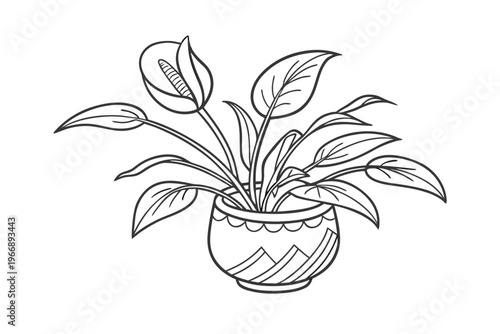 Line Art Illustration of a Potted Peace Lily Plant.